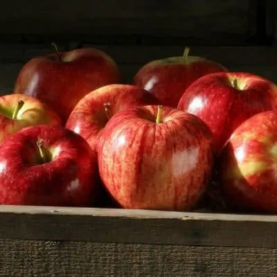 manzanas royal gala