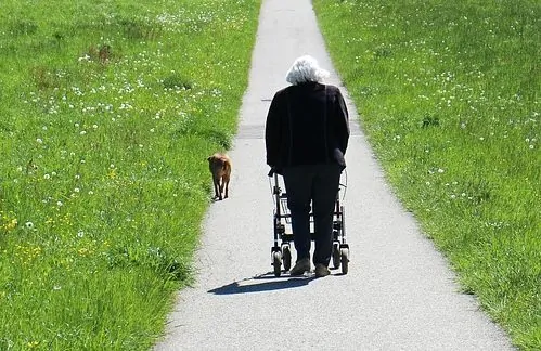 anciano usando andador con ruedas en el campo