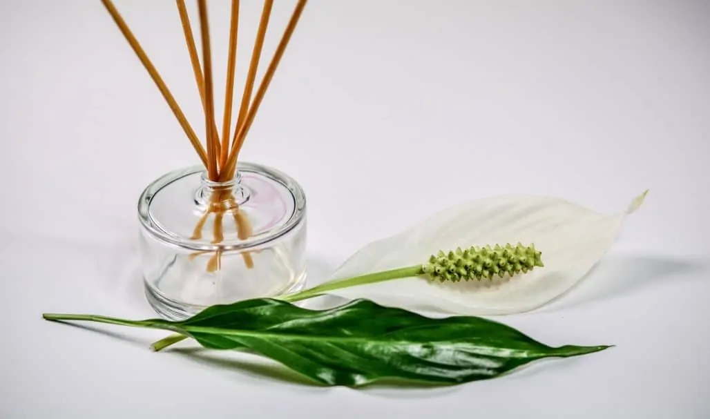 aceites esenciales usados en el aromaterapia