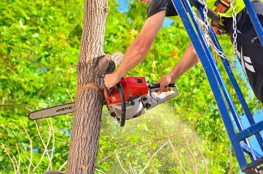 hombre usando una motosierra de podar en un tronco